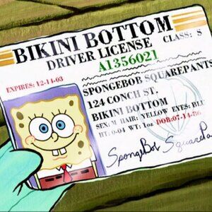 3 Pack Funny SpongeBob Squarepants Boat License NEW